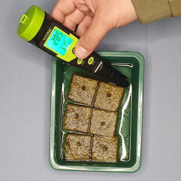 Hier siehst du ein pH-Messgerät in einem Mini-Gewächshaus mit Steinwollwürfel.